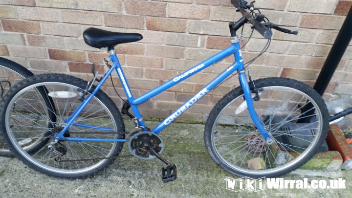 Attached picture blue bike.jpg